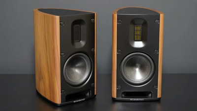 Scansonic MB1 B walnoot