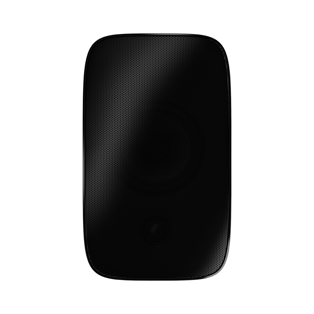Bowers & Wilkins AM-1 all weather zwart