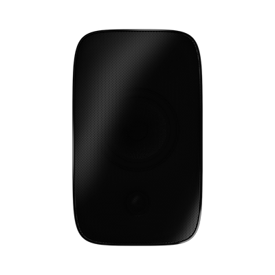 Bowers & Wilkins AM-1 all weather zwart