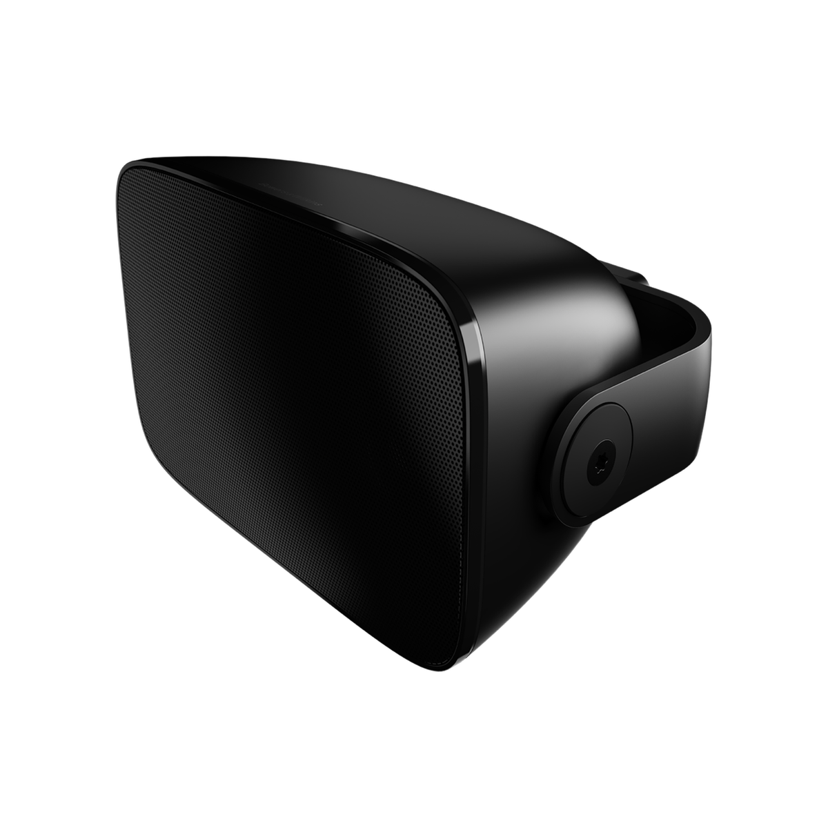 Bowers & Wilkins AM-1 all weather zwart